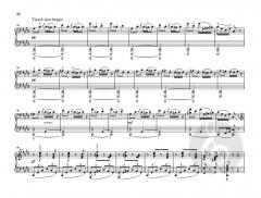 Dumky Klaviertrio op. 90 von Antonín Dvorák im Alle Noten Shop kaufen