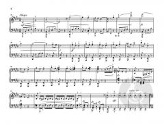 Dumky Klaviertrio op. 90 von Antonín Dvorák im Alle Noten Shop kaufen