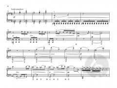 Dumky Klaviertrio op. 90 von Antonín Dvorák im Alle Noten Shop kaufen