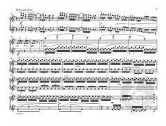 Dumky Klaviertrio op. 90 von Antonín Dvorák im Alle Noten Shop kaufen