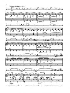 Potpourri (Fantasie) op. 94 von Johann Nepomuk Hummel für Viola und Orchester im Alle Noten Shop kaufen