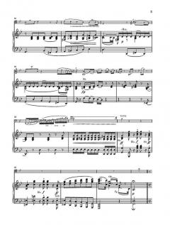 Potpourri (Fantasie) op. 95 von Johann Nepomuk Hummel für Viola und Orchester (Fassung für Violoncello) im Alle Noten Shop kaufen (Partitur)