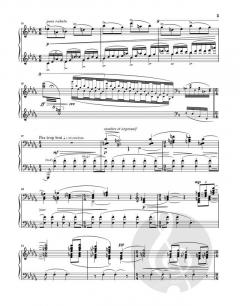 Miroirs von Maurice Ravel 