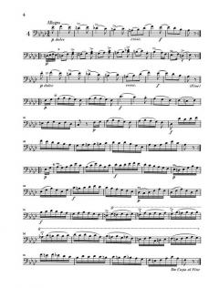 12 Walzer für Kontrabass solo von Domenico Dragonetti im Alle Noten Shop kaufen