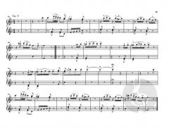 Divertimento 'Il maestro e lo scolare' Hob. XVIIa:1 von Joseph Haydn 