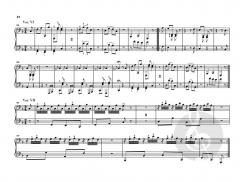 Divertimento 'Il maestro e lo scolare' Hob. XVIIa:1 von Joseph Haydn 