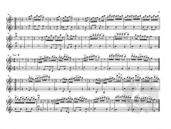 Divertimento 'Il maestro e lo scolare' Hob. XVIIa:1 von Joseph Haydn 