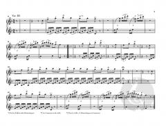 Divertimento 'Il maestro e lo scolare' Hob. XVIIa:1 von Joseph Haydn 