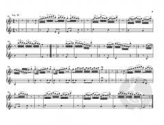 Divertimento 'Il maestro e lo scolare' Hob. XVIIa:1 von Joseph Haydn 