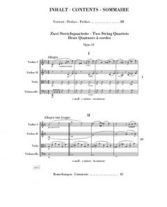 Streichquartette op. 51 Nr. 1 c-moll / Nr. 2 a-moll von Johannes Brahms im Alle Noten Shop kaufen