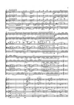 Streichquintett C-dur op. post. 163 D 956 von Franz Schubert im Alle Noten Shop kaufen