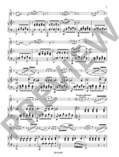 3 Lieder aus dem Schwanengesang von Franz Schubert von Theobald Böhm 