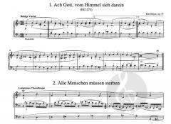 Choralvorspiele Band 2 von Karl Hoyer 