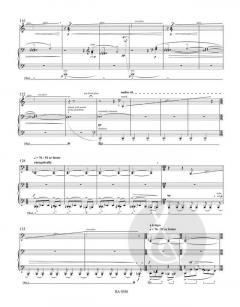 Gran Passo For Piano von Charlotte Seither 