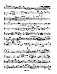 Zwei Solosonaten von Günter Raphael 