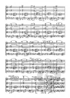 Streichquartett Nr. 1 e-Moll 'Aus meinem Leben' von Bedrich Smetana im Alle Noten Shop kaufen