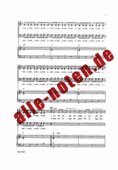 The Lion Sleeps Tonight 