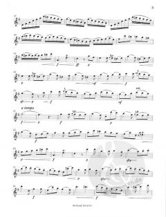 Rondo capriccioso G-dur von Anton Stamitz 