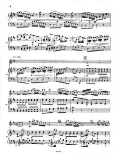 Flötenkonzert D-Dur von Johann Stamitz im Alle Noten Shop kaufen