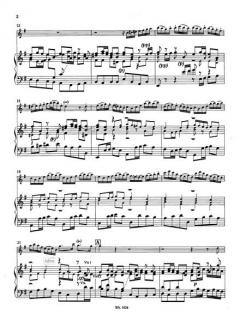 Konzert in e-moll BWV 1059R von Johann Sebastian Bach für Flöte und Streichorchester im Alle Noten Shop kaufen