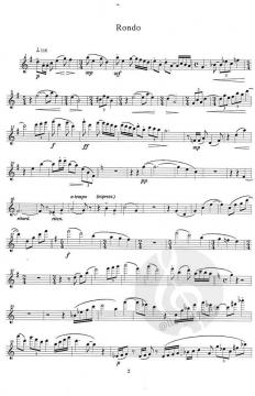 Rezitativ und Rondo (Heinz Joachim Zander) 