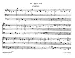 Sämtliche Orgelwerke Band 9 von Johann Sebastian Bach im Alle Noten Shop kaufen