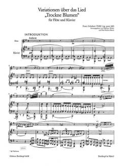Variationen über das Lied Trockne Blumen op. post. 160 D 802 von Franz Schubert 