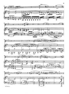 Variationen über das Lied Trockne Blumen op. post. 160 D 802 von Franz Schubert 