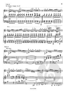 Paganini Variations op. posth. von Eugene Ysaye für Violine und Klavier im Alle Noten Shop kaufen