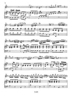 Flötenkonzert G-Dur von Johann Stamitz im Alle Noten Shop kaufen