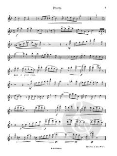 Caribbean Sketches von Gordon Lewin für Holzbläser Duo im Alle Noten Shop kaufen