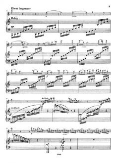 3 Kadenzen zu W.A. Mozarts Konzert C-Dur KV299 (297c) (Carl Reinecke) 