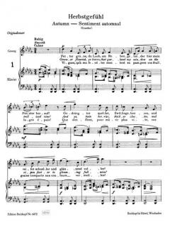 Ausgewählte Lieder und Gesänge Band 1 von Othmar Schoeck 