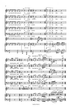 The Swan Of Avon (Persis Anne Vehar) 