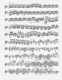 24 Capricen op. 1 von Niccolò Paganini für Violine solo im Alle Noten Shop kaufen