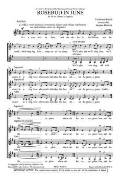 Rosebud in June (Stephen Hatfield) 