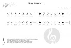 Vier beginnt von Karoline Braun 