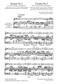 Ach Gott, wie manches Herzeleid (J.S. Bach) 