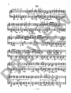 Préludes Brefs op. 9 von Richard de Guide 