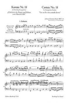 Gleichwie der Regen und Schnee vom Himmel fällt (J.S. Bach) 