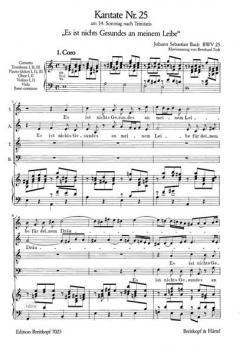 Es ist nichts Gesundes an meinem Leibe (J.S. Bach) 