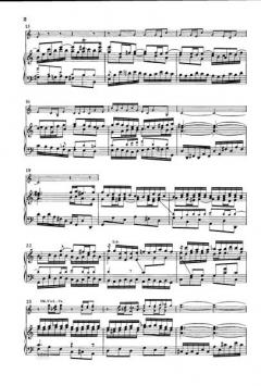 Der Himmel lacht, die Erde jubilieret (J.S. Bach) 