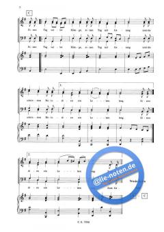 Zum Geburtstag viel Glück (Albrecht Rosenstengel) 