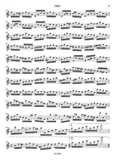 Solo a-Moll BWV 1013 von Johann Sebastian Bach 