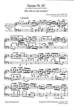 Was willst du dich betrüben (J.S. Bach) 