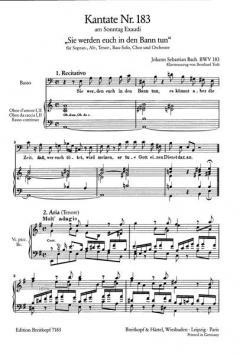 Sie werden euch in den Bann tun (J.S. Bach) 