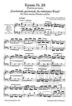 Geschwinde, geschwinde, ihr wirbelnden Winde (J.S. Bach) 