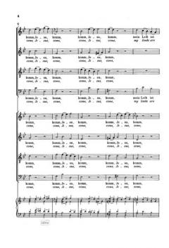 Komm, Jesu, komm (J.S. Bach) 