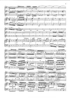 Brandenburgisches Konzert Nr. 4 in G-Dur BWV 1049 (J.S. Bach) 