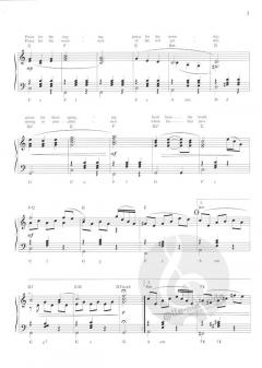 Akkordeon Pur: Cat Stevens im Alle Noten Shop kaufen